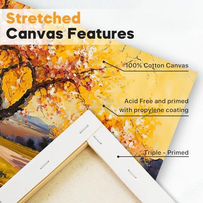 CONDA Large Stretched Canvas for Painting, 30x40 Inch 2 Pack Big Canvas, 100% Cotton, Primed Acid-Free, White Blank Stretched Canvas Boards Art Supplies for Acrylics, Oils Painting - size: 30"x40",2 Pack