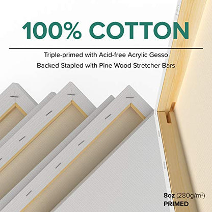 GenCrafts Stretched White Rectangular Canvas Multi Pack - 5x7, 8x10, 9x12, 11x14 (2 of Each) Set of 8 - Triple Primed - 100% Cotton - for Acrylic, Oil, Other Wet or Dry Art Media - Artists Grade