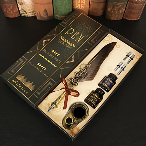 Aifeiter Feather Pen ink Set,Calligraphy Pen Set,Includes:Quill Pen,2 Bottles of Color ink,2 in one Holder,4 Stainless Steel Nibs,Black Gift Box-Grey - color: Grey1