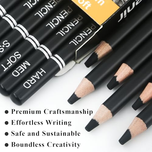 Aenir Charcoal Pencils for drawing, Set of 12, Charcoal Drawing Pencils (S-Soft, Soft, Medium, Hard), Art Supplies for Artist, Sketching, Shading - color: Black