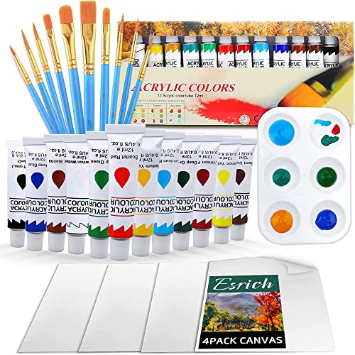 ESRICH Acrylic Paint Set,Paint Set with 10 Paint Brushes12 Color 12ml Acrylic Paint,1 Palettes and 4 Pcs Canvas for Students, Artists and Beginner Art Supplies - color: Colorful, size: 27pack