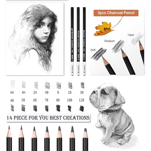Drawing Pencils, Sketch Pencils Set Graphite 12B 10B 8B 7B 6B 5B 4B 3B 2B B HB 2H 4H 6H and Charcoal Pencils Art Supplies for Sketching and Drawing,Pencil Set for Artists or Beginners - color: Black