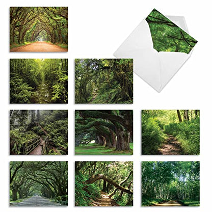 Best Card Co Box of 10 All Occasion Cards Blank (4 x 5.12 Inch) Scenic Landscape Cards Assorted Nature Trails for Men and Women M6467OCB-NB - style: Nature Trails