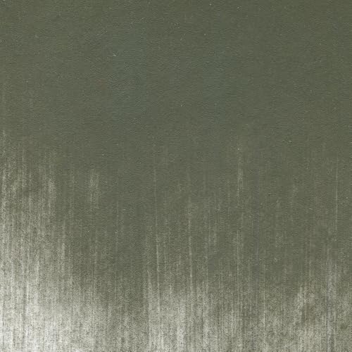 PanPastel Artist Pastels by GOLDEN, Neutral Gray Shade, 2.44” / 62mm Pan Diameter, Professional Artist Pastels, Unique Pan Format (cake-like) - color: Neutral Grey Shade