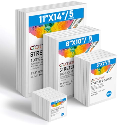 Gotideal Canvas for Painting, 20 Pcs Multi Pack Stretched Paint Canvas, Blank Painting Canvases for Acrylic,Oil,Art Supplies for Artists,Adults 3x3,5x7,8x10,11x14 5pcs of Each - color: White Stretched Canvas, size: 20 Pack