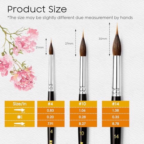 3PCS Watercolor Brushes Professional, Extended Needle Point Brushes with Belly Reservoir for Fine Detail, Continuous Painting & Broad Washes, Great for Artists