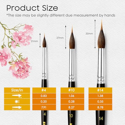 3PCS Watercolor Brushes Professional, Extended Needle Point Brushes with Belly Reservoir for Fine Detail, Continuous Painting & Broad Washes, Great for Artists