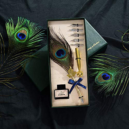 Feather Quill Pen Ink Set-Vintage Peacock Feather Pen with Holder,5pc Metal Pen Nib Writing Calligraphy Pen Set for Beginner