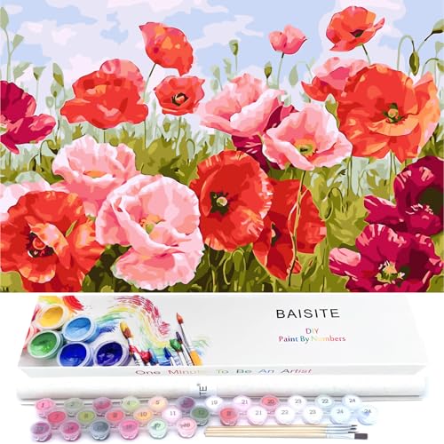 BAISITE Paint by Numbers Kit for Adults Beginners,20" Wx16 L Canvas for Painting Kits for Adults in Colorful Box Poppy Flowers-BSC001 - color: HXL-BSC001-1, size: Without Frame(20"X16")