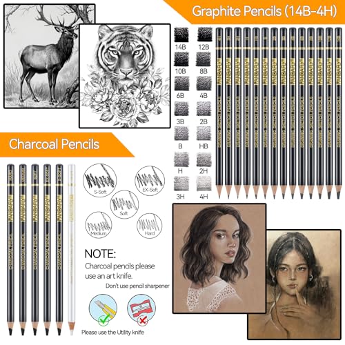 PANDAFLY Drawing Sketching Pencil Set, 26 Piece, 4H-14B Graphite Pencils | Charcoal Pencils & Sticks, Vinyl & Kneaded Erasers, Sharpener & Blending Stump, Artist Pencils for Artists and Beginners