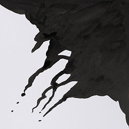 Winsor & Newton Drawing Ink, 14ml Bottle, Liquid Indian Ink - color: Liquid Indian Ink, style: 14ml Bottle