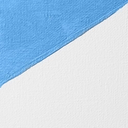 Liquitex Professional Gesso Surface Prep Medium, 118ml (4-oz), White - color: White, size: 4 Fl Oz (Pack of 1), style: 4-oz