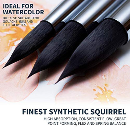 ARTEGRIA Watercolor Brush Set, 9 Professional Soft Synthetic Squirrel Paint Brushes, Including Round Detailers, Flat Wash, Rigger, Rake, Fan, Angled Shader - color: Black - 9pcs
