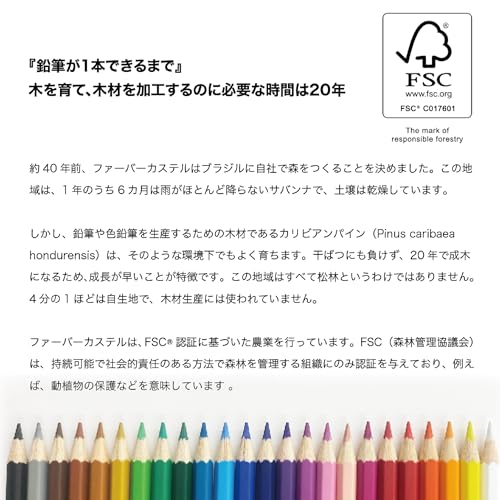 Faber Castell TFC-CP/60C Oil-Based Colored Pencils, Flat Can, Set of 60 Colors, Red