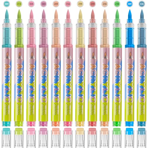 12 Colors Acrylic Paint Pens - Brush Tip Paint Pens Markers Direct Ink Flow Suitable for Stone,Paper,Wood,Glass,Fabric Paint,DIY Crafts (Multicolor) - color: Multicolor
