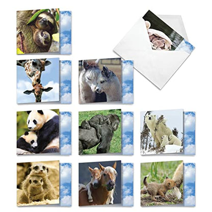 The Best Card Company - 10 Adorable Note Cards Blank (4 x 5.12 Inch) - Wildlife and Animal Cards, Assorted Boxed Set - Mommy Dearest AMQ4961OCB-B1x10 - style: Mommy Dearest