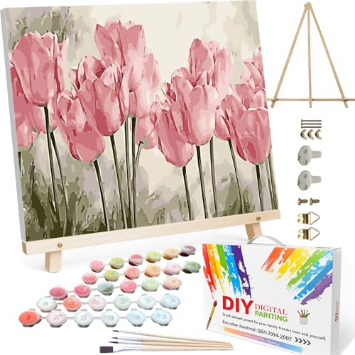 BAISITE Paint by Numbers Kit for Adults Beginners,20" Wx16 L Canvas for Painting Kits for Adults in Colorful Box Poppy Flowers-BSC002-Already Stretched on a Wooden Frame - color: HXL-BSC002-2, size: Already Famed(20"X16")