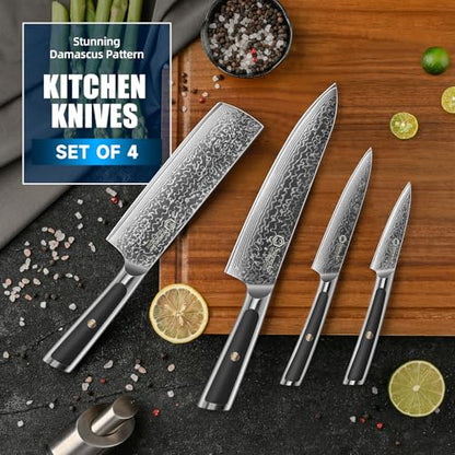 Sunnecko Damascus Kitchen Knife Set 4 Piece, Sharp Chef Knife Set Professional Kitchen Knives Sets Full Tang with Gift Box - size: Set of 4