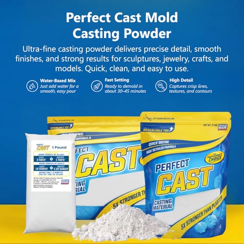Perfect Cast Mold Casting Powder, Fast-Curing, Non-Toxic, Water-Based Material for DIY Sculptures, Jewelry, Crafts & Models, USA Made, 1 lb Bag - size: 1 lb