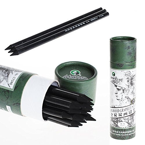 LI-GELISI Artist Woodless Graphite Charcoal Sticks Charcoal Sketching Pencil 24 Piece (Whole Lead Core 4B)