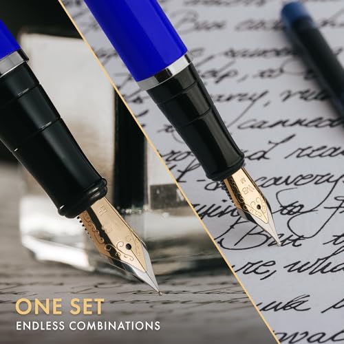 Wordsworth & Black Fountain Pen Set,18K Gilded Medium and Extra Fine Nib,25ML Black Ink Bottle,6 Ink Cartridges,Refill Converter,Gift Box,Smooth Writing Pens [Blue Chrome],Gift Set for Men and Women - color: Blue Chrome