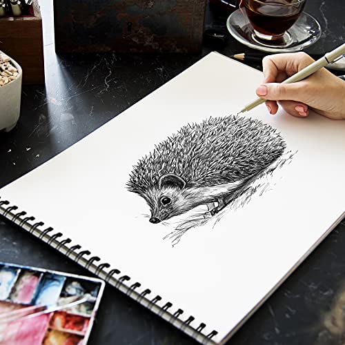 COLOUR BLOCK Sketching Pad Spiral Notebook/Drawing Book, 9x12 in, 70 Sheets 60 Pound Pressed- Acid Free Art Supplies, Sketch Pad Ideal for Beginners and Drawing While on The Go