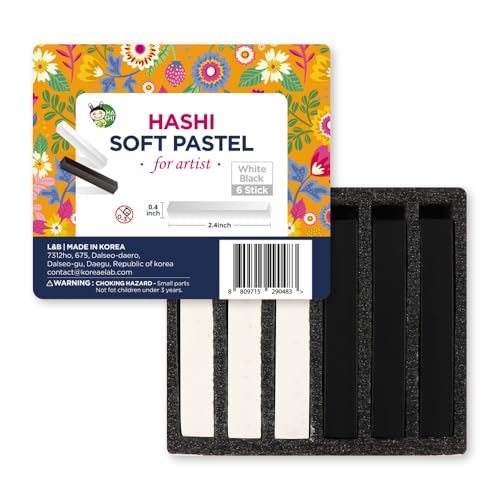 HA SHI Professional Soft Chalk Pastels for Adult Artists, Square Artist Grade Drawing Media, Black and White, 6 Sticks - color: Black & White (6 Sticks)