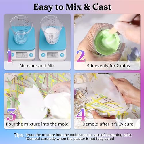 LET'S RESIN Resin Casting Powders Starter Kit, 1000g Fast Cured Odorless Casting Powder, 20~30 Minutes De-Mold, Water Activated Plaster Powder Casting Kit for DIY, Easy Mixing & Self Leveling - size: 1000g