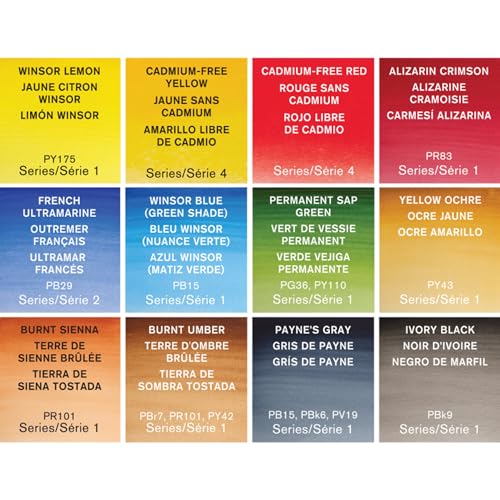 Winsor & Newton Professional Watercolor Paint Set, Compact Set, 12 Half Pan and Accessories - style: Compact Set 12 Half Pan & Accessories