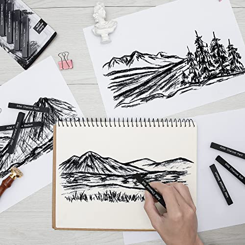 6 Pack Compressed Charcoal Sticks, Vine Charcoal Stick for Drawing, Sketching, Shading, Art Supplies Sketch Kits Tools Soft, Medium and Hard Grade - color: Black-6