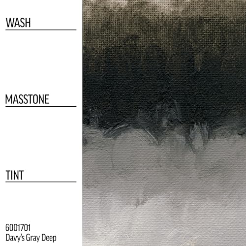 Williamsburg Artist Oil Colors by GOLDEN, Davy's Gray Deep, 37 ml tube, Professional Oil Paint, Semi-Opaque - color: Davy's Gray Deep, size: 1.25 Fl Oz (Pack of 1)