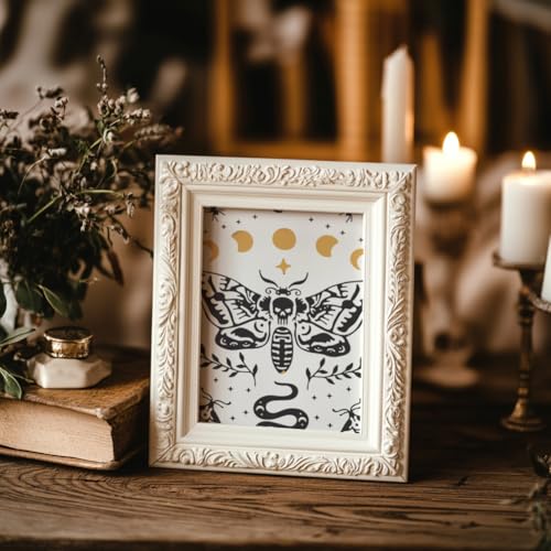 2 Sheets Butterfly Skull Silkscreen Stencil, Insects Moon Moth Snake Painting Stencils Templates Reusable Self-Adhesive Silk Screen Printing for Wall Border Wood Fabric Home Halloween Decor - style: Moth