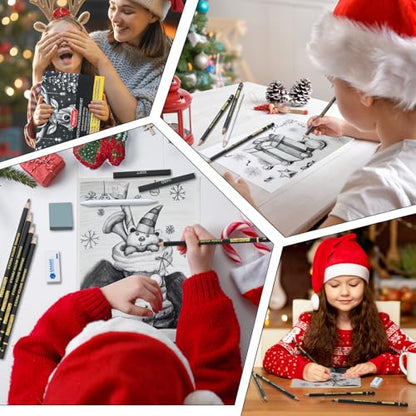 PANDAFLY Drawing Sketching Pencil Set, 26 Piece, 4H-14B Graphite Pencils | Charcoal Pencils & Sticks, Vinyl & Kneaded Erasers, Sharpener & Blending Stump, Artist Pencils for Artists and Beginners