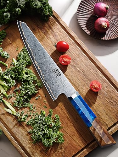 HOSHANHO Damascus Chef Knife 8 Inch, 67-Layer Damascus Super Steel Professional Kitchen Knife, Ultra Sharp Japanese Cooking Knives, Ergonomic Blue Resin Stabilized Wood Handle with Wood Gift Box - size: 8"