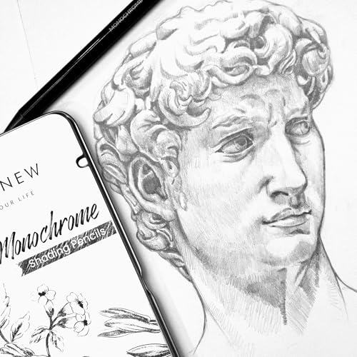 Altenew Monochrome Shading Pencils, 5 Woodless Graphite Pencils for Drawing, Sketching, Shading, Art Pencils 2H, HB, 4B, 6B, 10B with Metal Case
