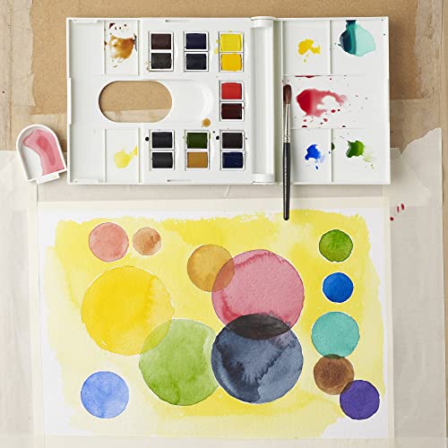 Winsor & Newton Professional Watercolor Paint Set, Field Box, 14 Half Pans & Accessories - style: Field Box 12 Half Pan