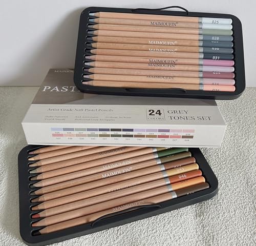 Soft Pastel Pencils 24 Colors Grey Tone Drawing Pencil Set Professional Grade Pastels Art Supplies for Drawing Sketching Coloring(Not Oil-Based) (Grey) - color: Grey