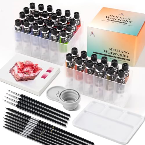 Watercolor Paint Set, 36 Colors Watercolor Set With Practical Plastic Storage Box And Watercolor Tool Kit, Excellent Pigment And Spread Watercolor Paint Tubes,36 x 5ml - style: 36 Colors Watercolor (Storage Box and Tool Kit)