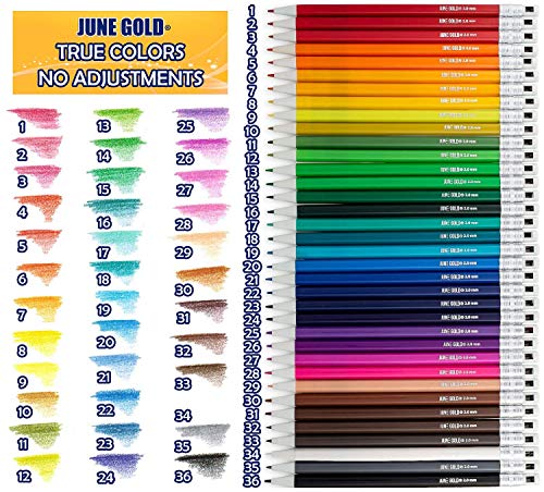 June Gold 36 Uniquely Colored 2.0 mm Mechanical Pencils and a 6 Pack of Gray Kneaded Rubber Erasers