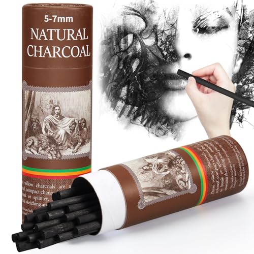 Gueevin 25 Pcs Willow Charcoal Sticks, Willow Charcoal, Artists, Beginners, Students, Perfect for Sketching, Drawing, Shading, and Fine Back to School Christmas Art Gifts (5-7mm) - size: 5-7mm