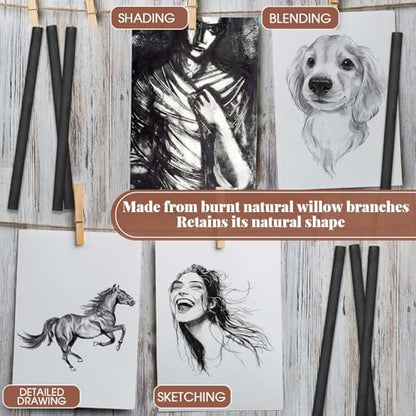 Gueevin 50 Pcs Willow Charcoal Sticks, Willow Charcoal, Artists, Beginners, Students, Perfect for Sketching, Drawing, Shading, and Fine Back to School Christmas Art Gifts (2-4mm) - size: 2-4mm