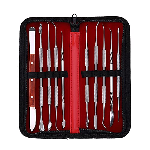FveBzem 10 pcs/Set Wax Carving Tools Stainless Steel Wax Carver Clay Pottery Sculpture Tools Dental Instrument Kit Surgical Dentist Sculpture Knife Instruments Tool Kit with Storage Bag