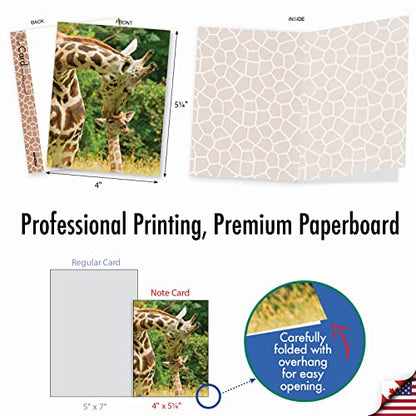The Best Card Company - 10 Adorable Note Cards Blank (4 x 5.12 Inch) - Wildlife and Animal Cards, Assorted Boxed Set - Kissing Giraffes AM6843OCB-B1x10 - style: Kissing Giraffes