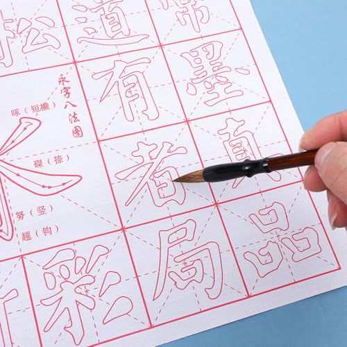 12 Pcs Chinese Calligraphy Set, Magic Writing with Water Canvas No Ink Reusable Water Writing Cloth Paper Calligraphy Practice Kit for Beginners Home School