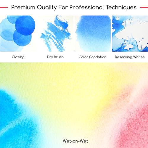 MEEDEN Professional Artist Watercolor Paint: Payne's Grey - 15ml/0.5oz Water Color Tube, Semi-Moist Pigment Half Pan and Empty Matching Half Pan for Artists Pros - color: Payne's Grey