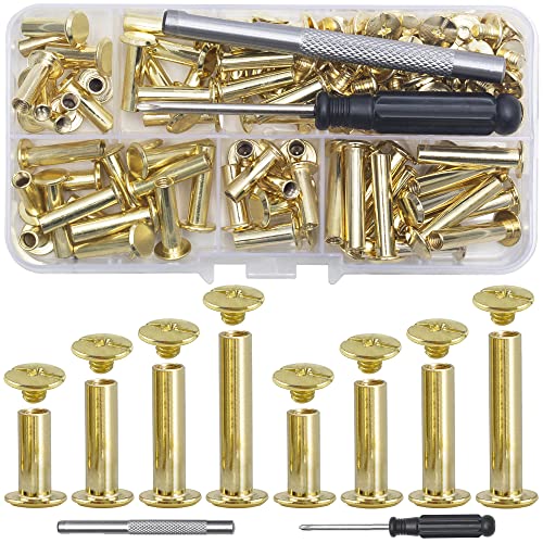YORANYO 70Sets Chicago Screws Leather Rivets Assorted Screw Rivets Chicago Binding Screws for Decorate and Repair Leather Craft Belt Bag Shoes Purse Bookbinding (Gold, M5*15,18,20,25) - color: Gold, M5*15,18,20,25