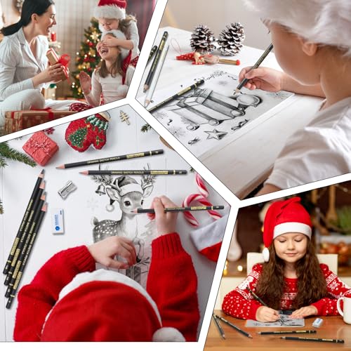 PANDAFLY Drawing Sketch Pencil Set, 16 Piece, 4H to 14B Graphite Pencils | Includes Erasers and Pencil Sharpener, Pro Art Pencil Kit for Drawing, Sketching, Shading, Ideal for Artists and Beginners