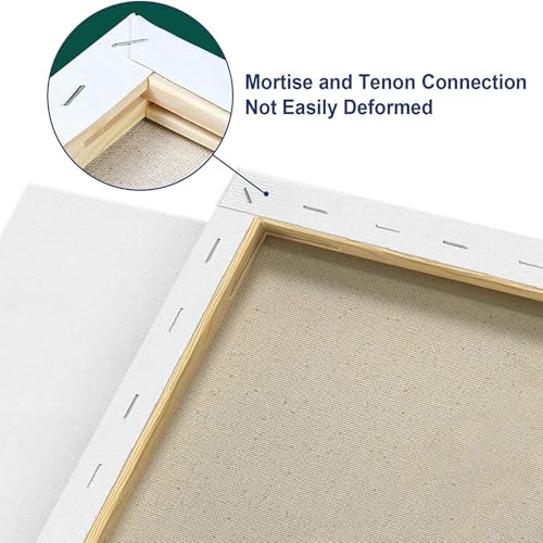 Large Canvases for Painting 20x20 Inch 2-Pack, 12.3 oz Triple Primed Acid-Free 100% Cotton Stretched Canvas, Blank Large Canvas for Oil Paint Acrylics Pouring & Wet Art Media - size: 20"x20"(2-Pack), style: Studio