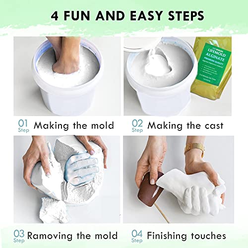 LifeMold Alginate Molding Powder for Hand Casting, Life Casting, Baby Molding Kit, Couples Casting - Non-Toxic Casting - 1lb (454g)