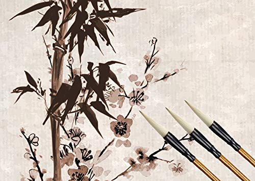 Befiy Chinese Calligraphy Brush, Writing Drawing Watercolor Ink Brushes Hubi Painting Kanji Sumi Wolf Bamboo Brushes Set for Professional Beginner (White) - color: White